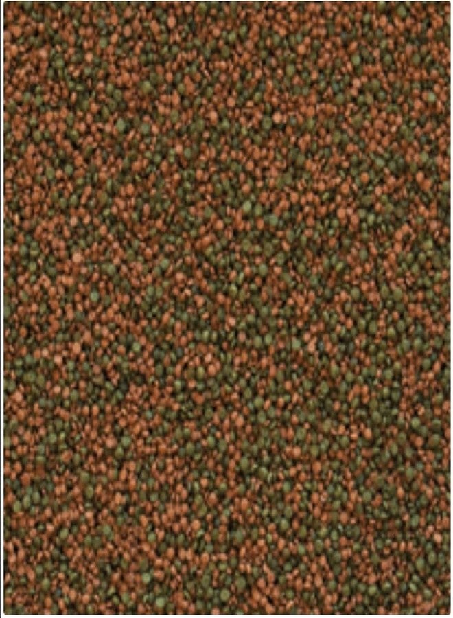 Tropical Cichlid Gran Color-Enhancing Sinking Granules Cichlid Fish Food 100ml/55g - 60453 - Image 2